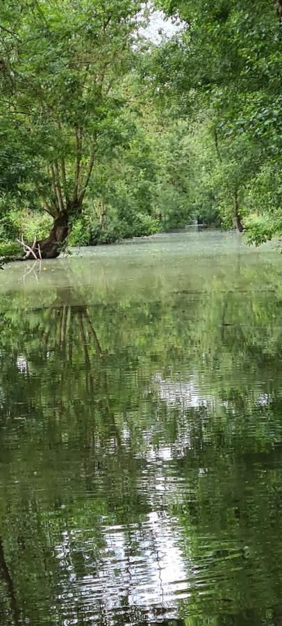 L'Enclos Bleu, Gite - Marais Poitevin Avec Piscine Chauffee Chaille-Les-Marais المظهر الخارجي الصورة